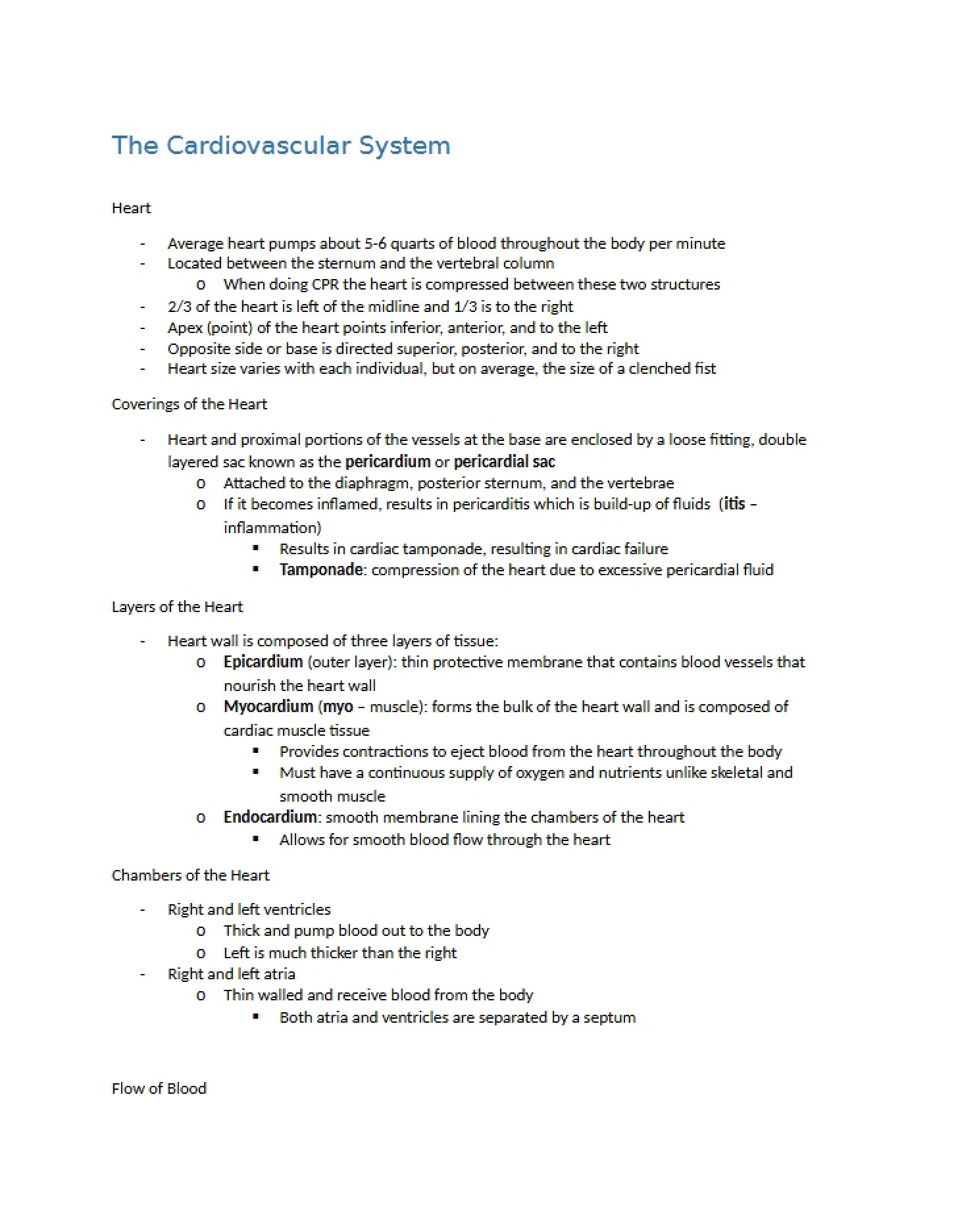 Cardiovascular System Overview