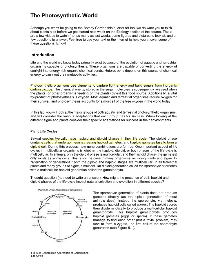 Evolution and the Photosynthetic World