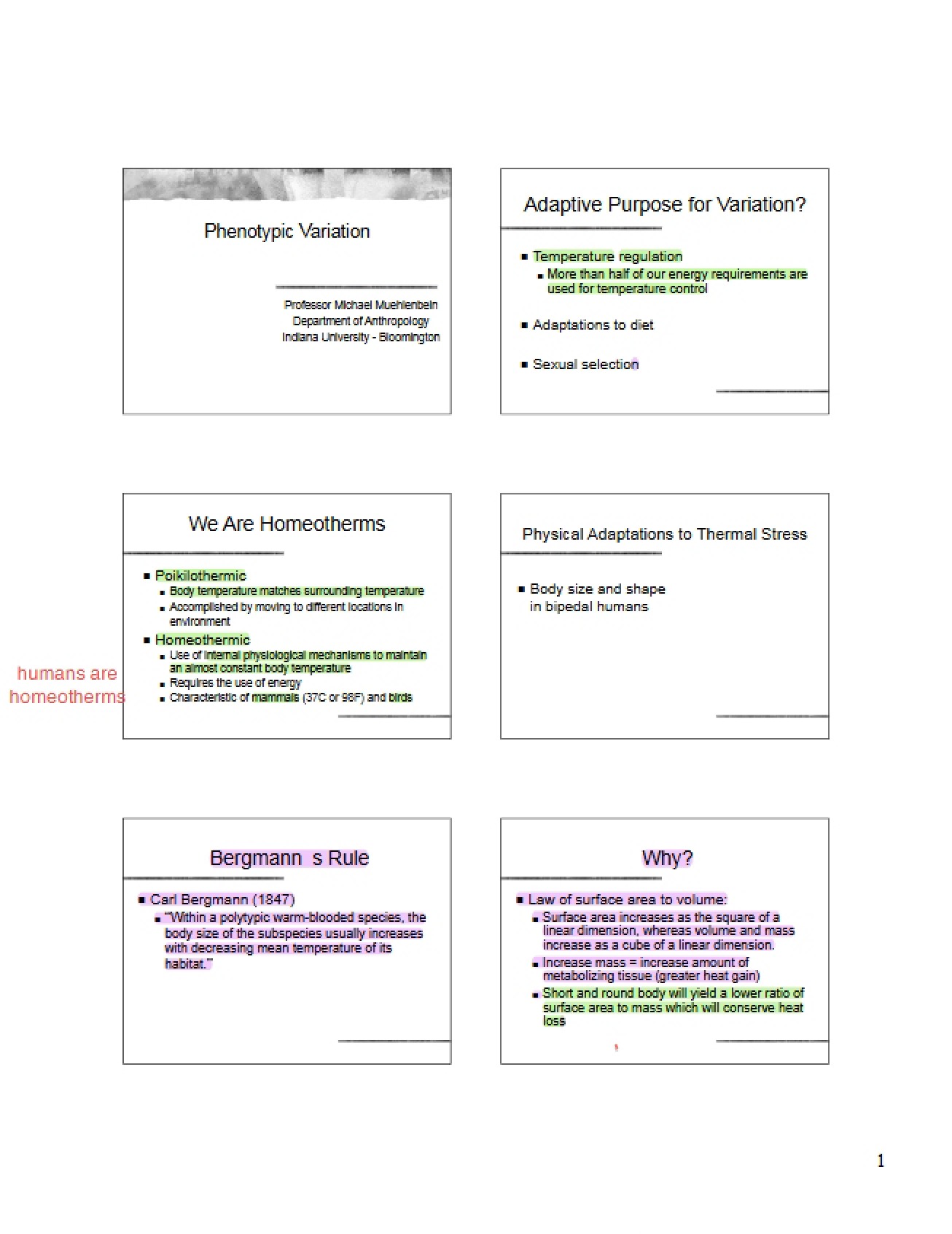 Variation in Phenotypes (Lecture 9)