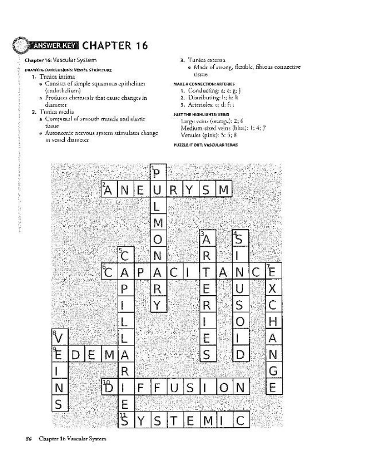 AP Chapter 16 Workbook Answers