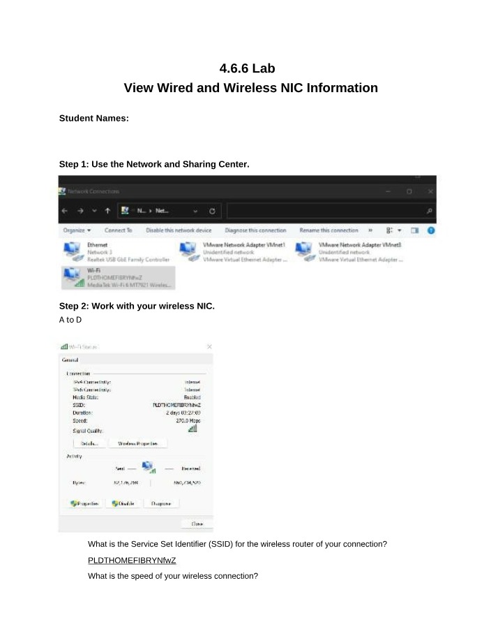 Wired and Wireless NIC Information Lab Guide