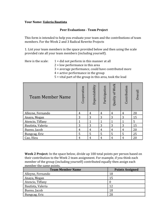 Team Project - Peer Evaluations