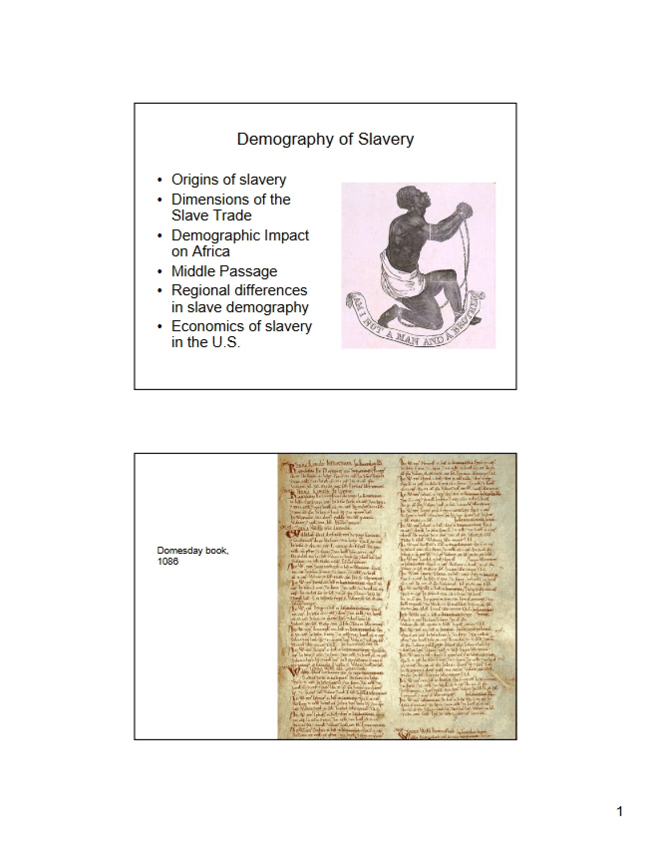 Slavery Demographics