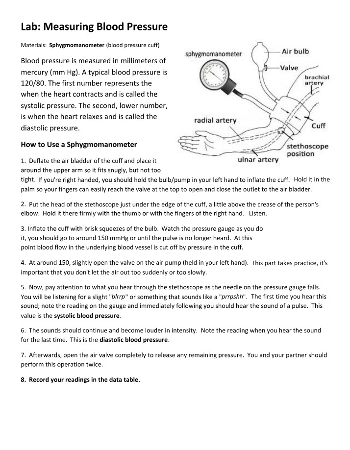 Measuring Blood Pressure Using a Sphygmomanometer