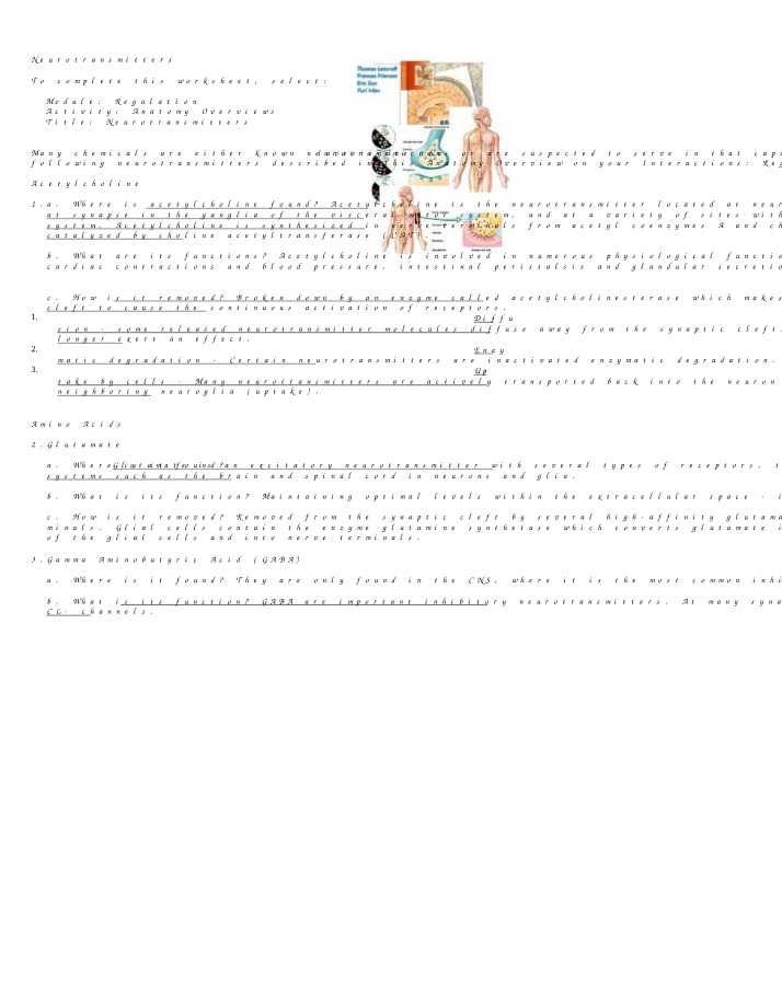 Functions and Removal Processes of Neurotransmitters