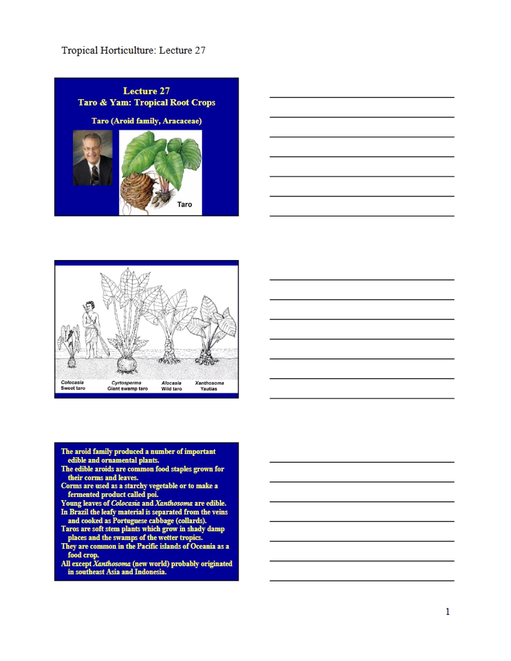 Course Handouts