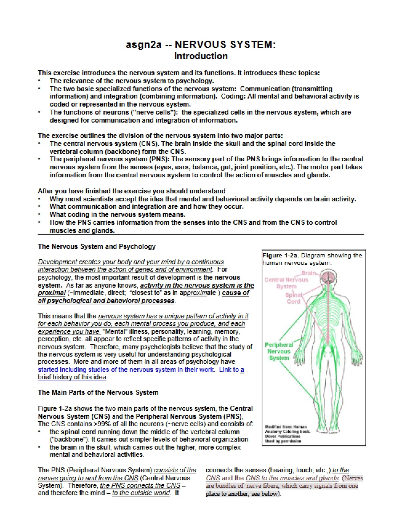 Nervous System - 16 Pages