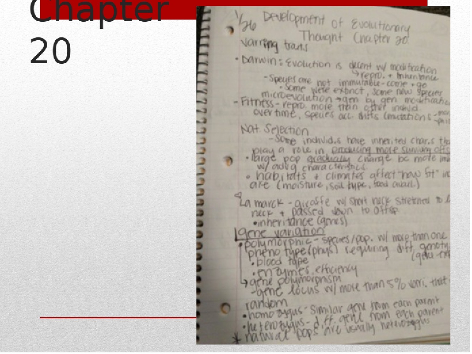 Biology Class Notes