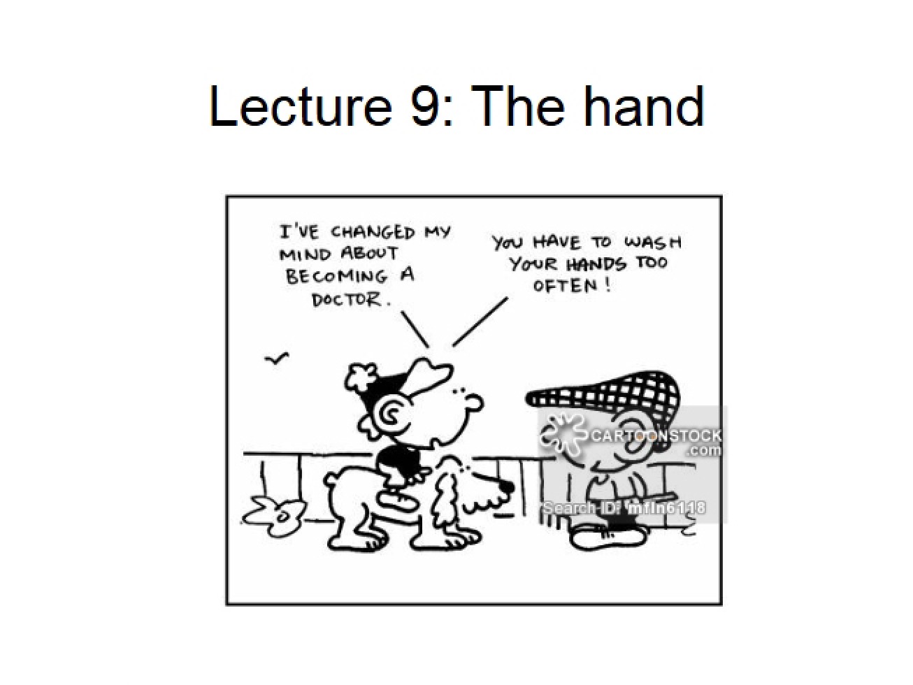 Anatomy of the Hand