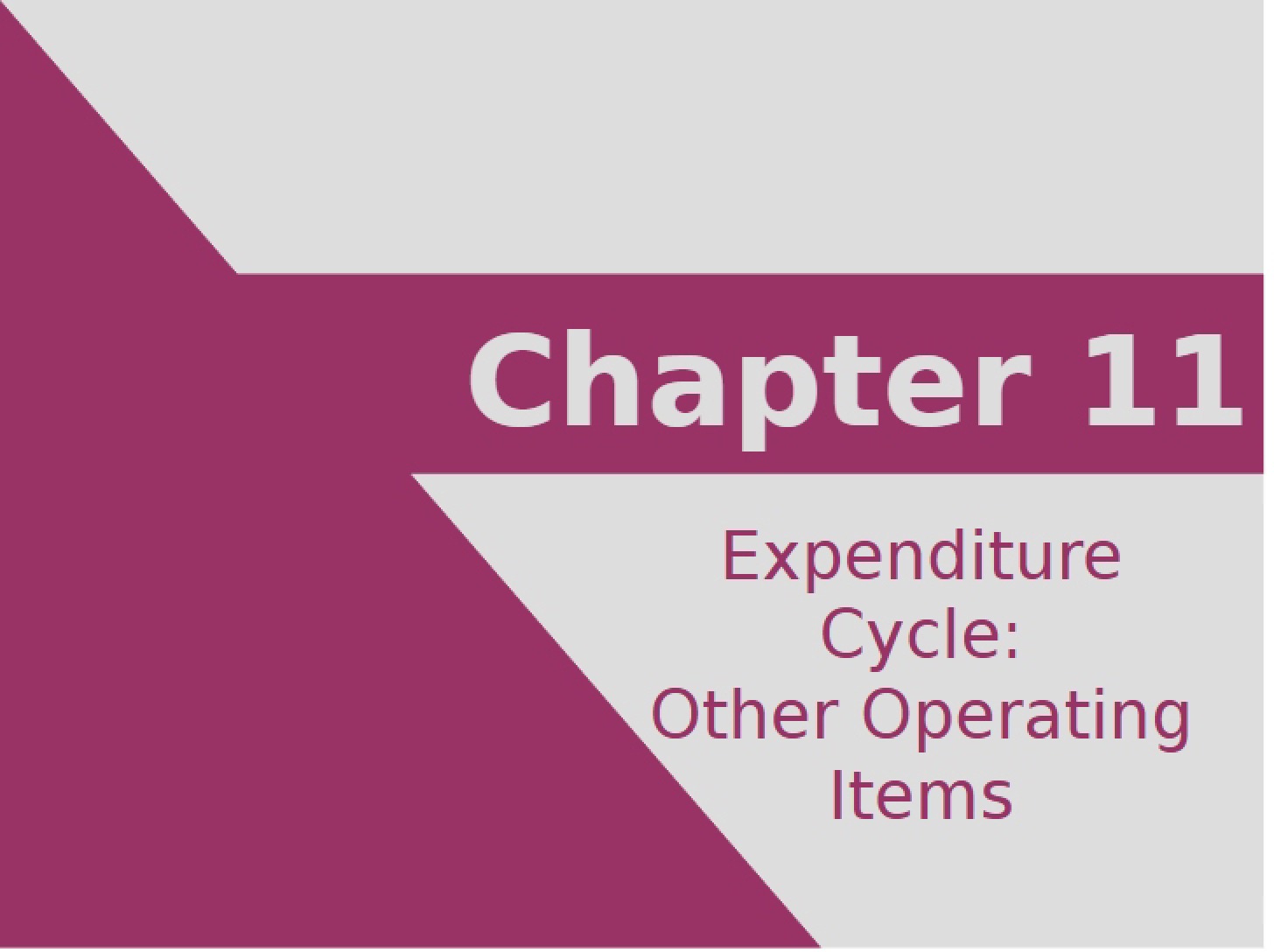 Operating Items within the Expenditure Cycle