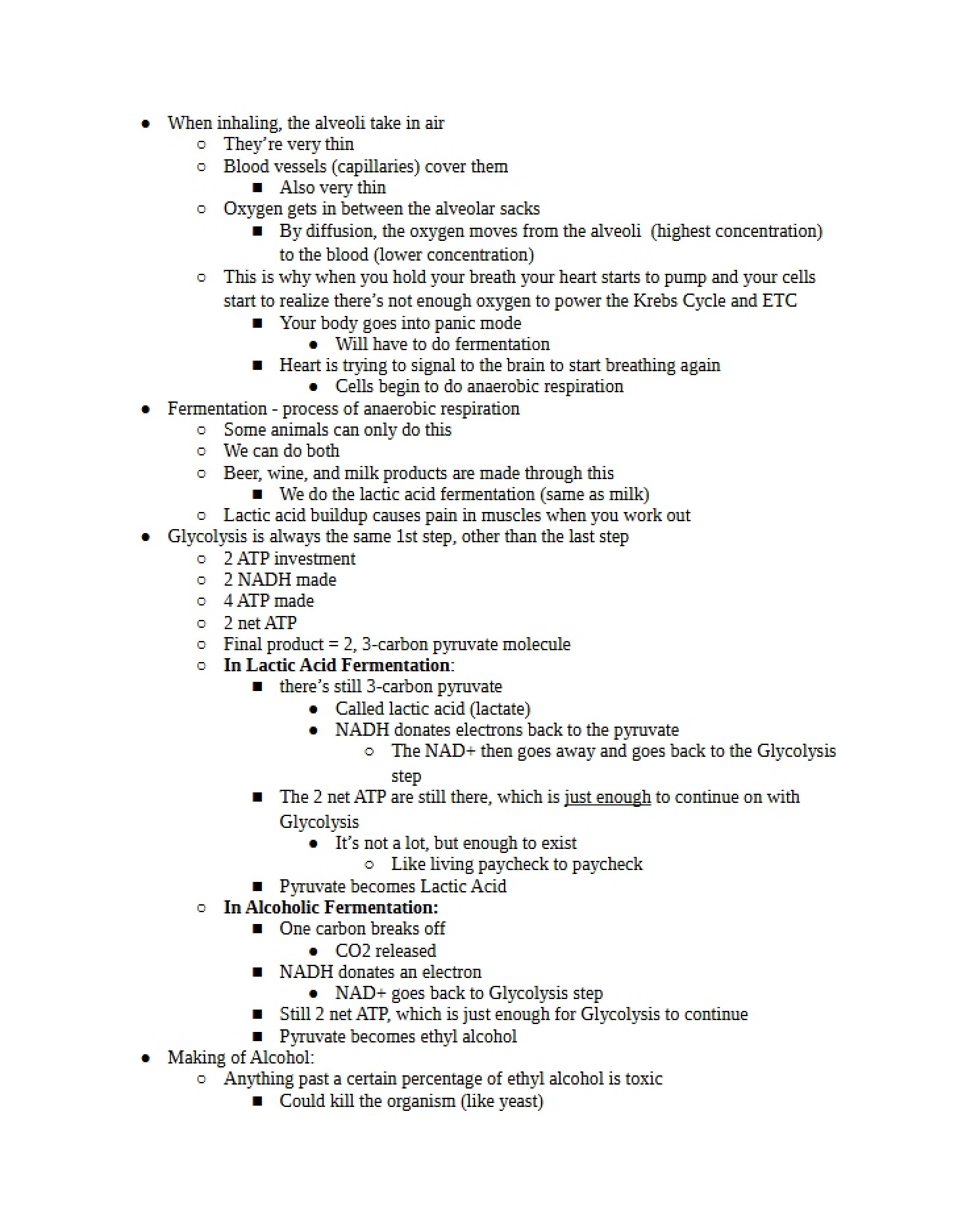 Cellular Respiration Anaerobic
