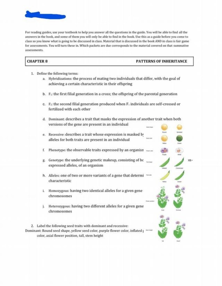 Inheritance Patterns and Traits