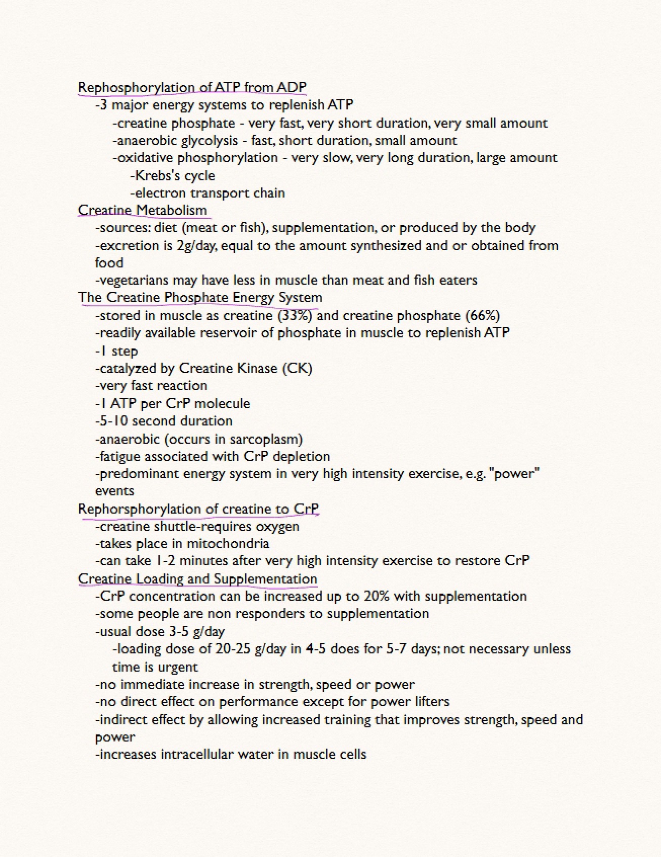 ADP Rephosphorylation to ATP