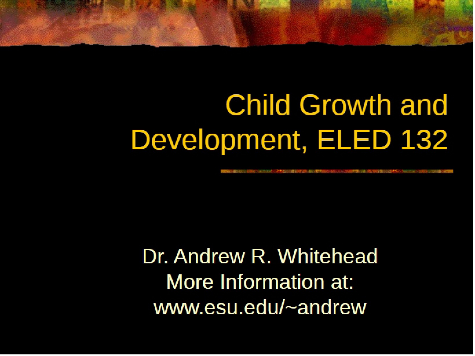 Child Development Chapter 13