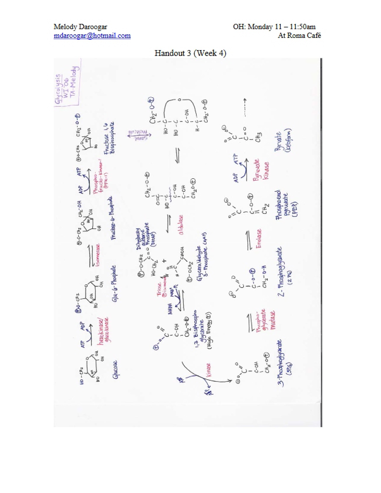 General Lecture on Metabolic Biochemistry