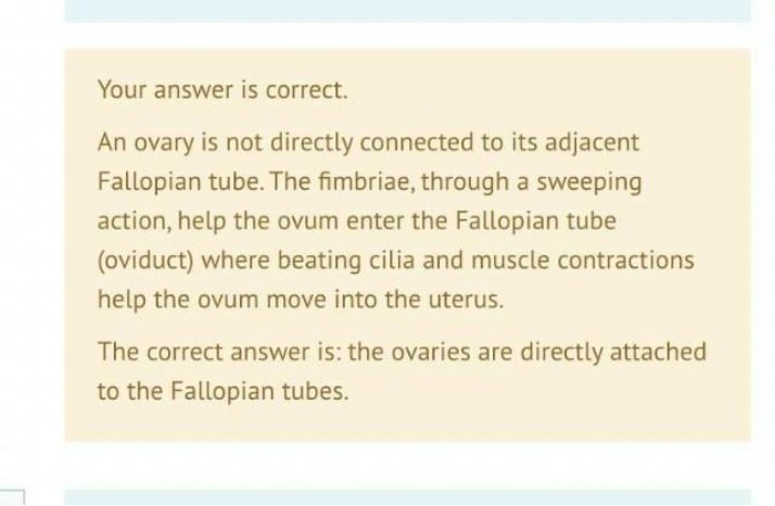 Connection Between Fallopian Tubes and Ovaries
