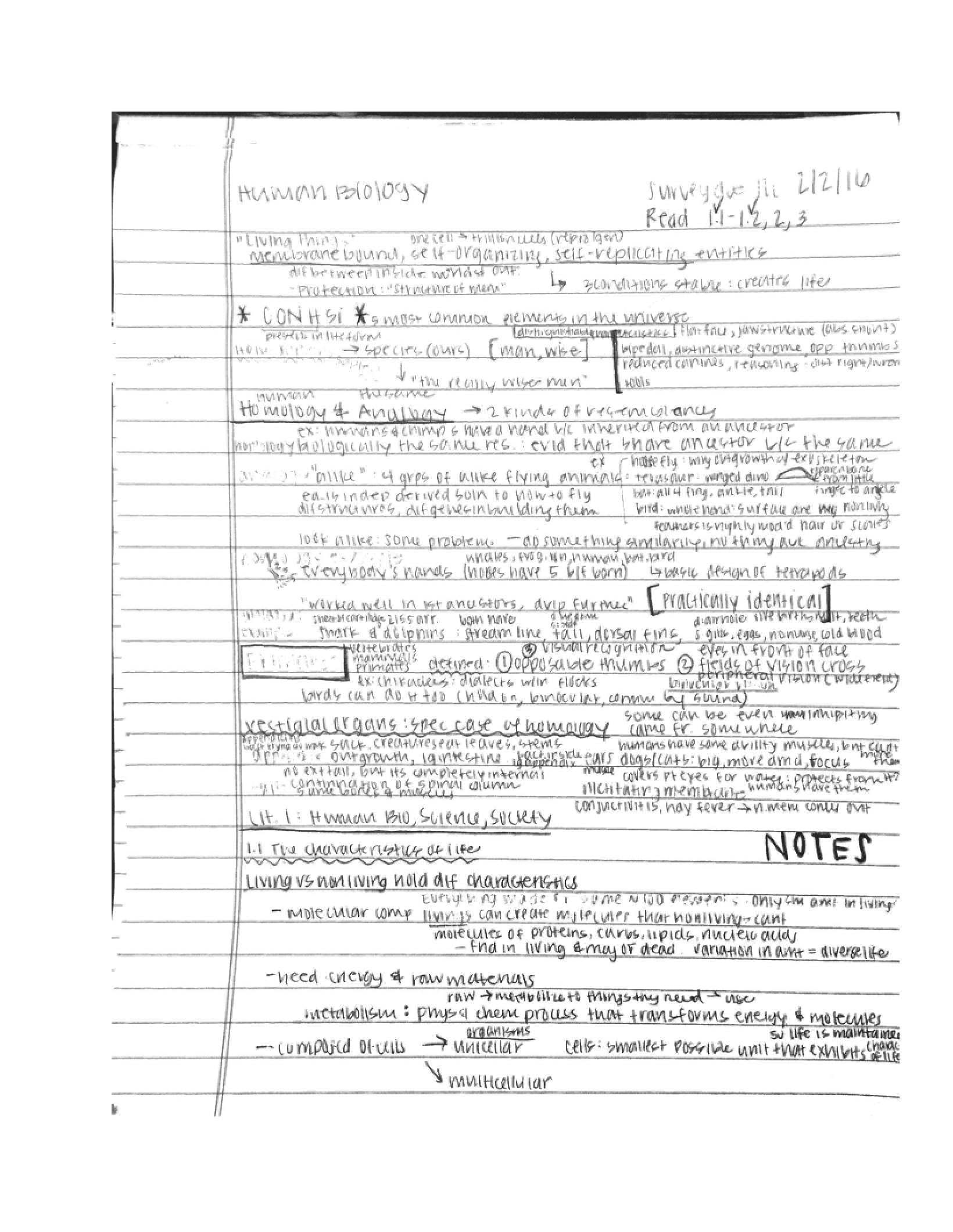 Human Biology Class Notes