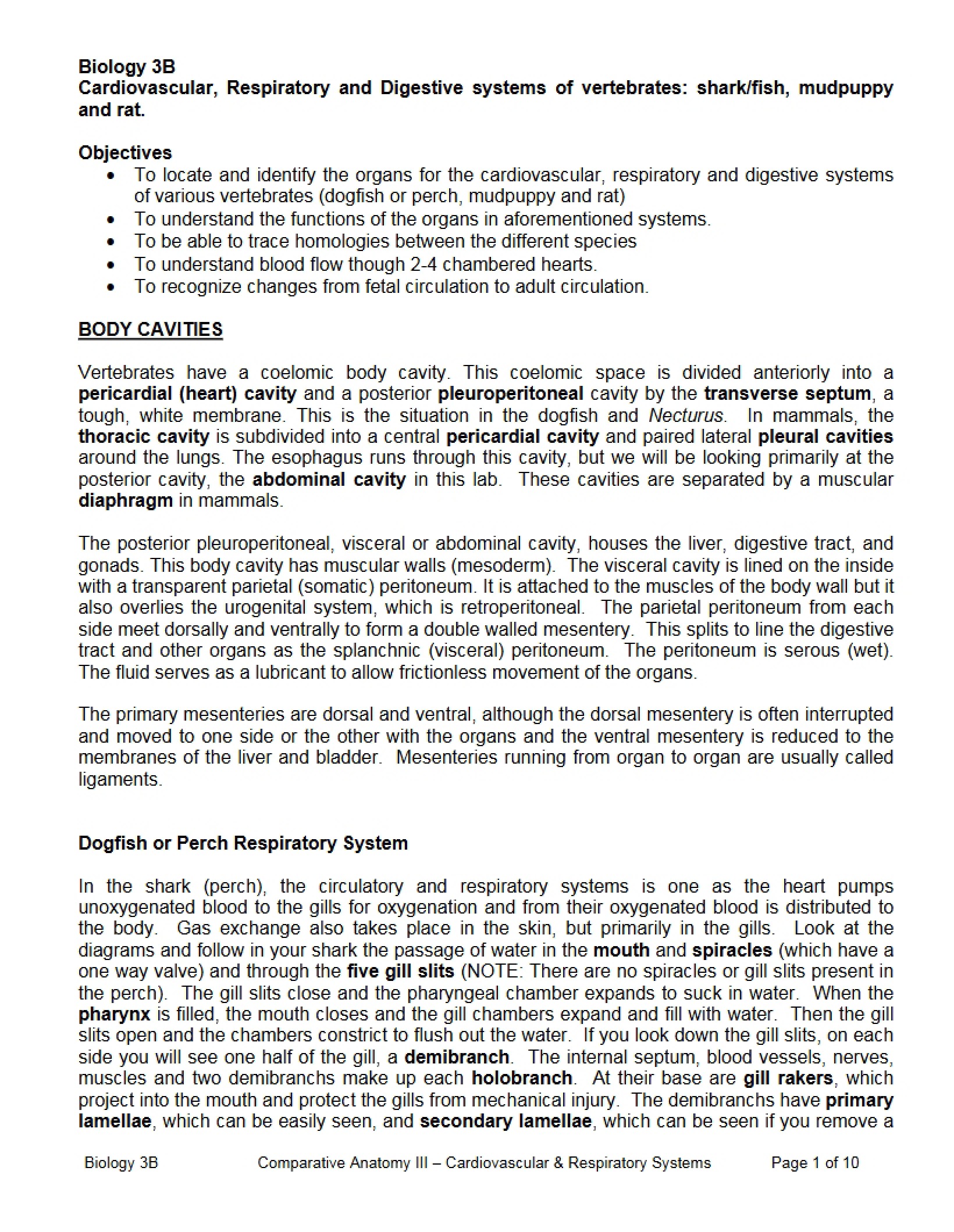 Vertebrate Digestive, Respiratory, and Cardiovascular Systems
