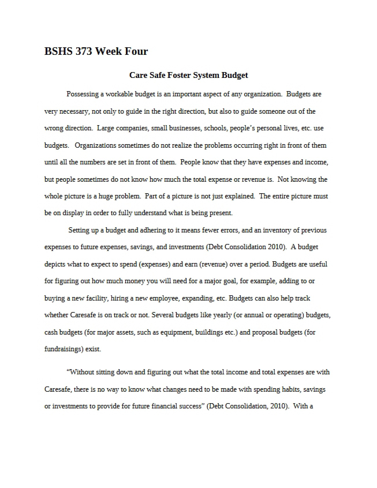 Care Safe Foster System Budget