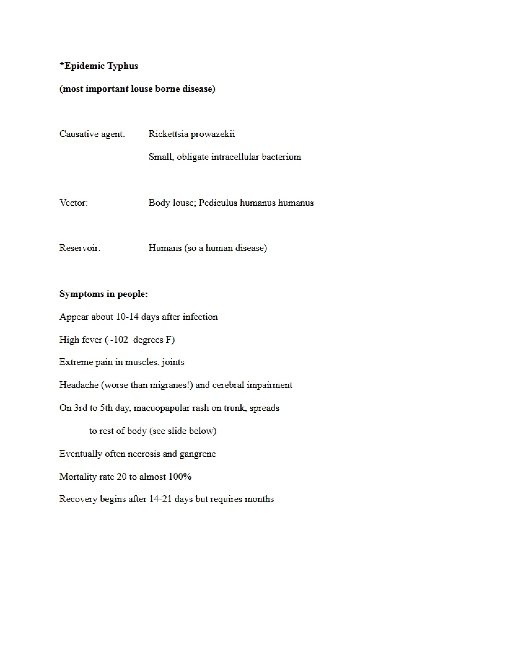 Typhus Overview