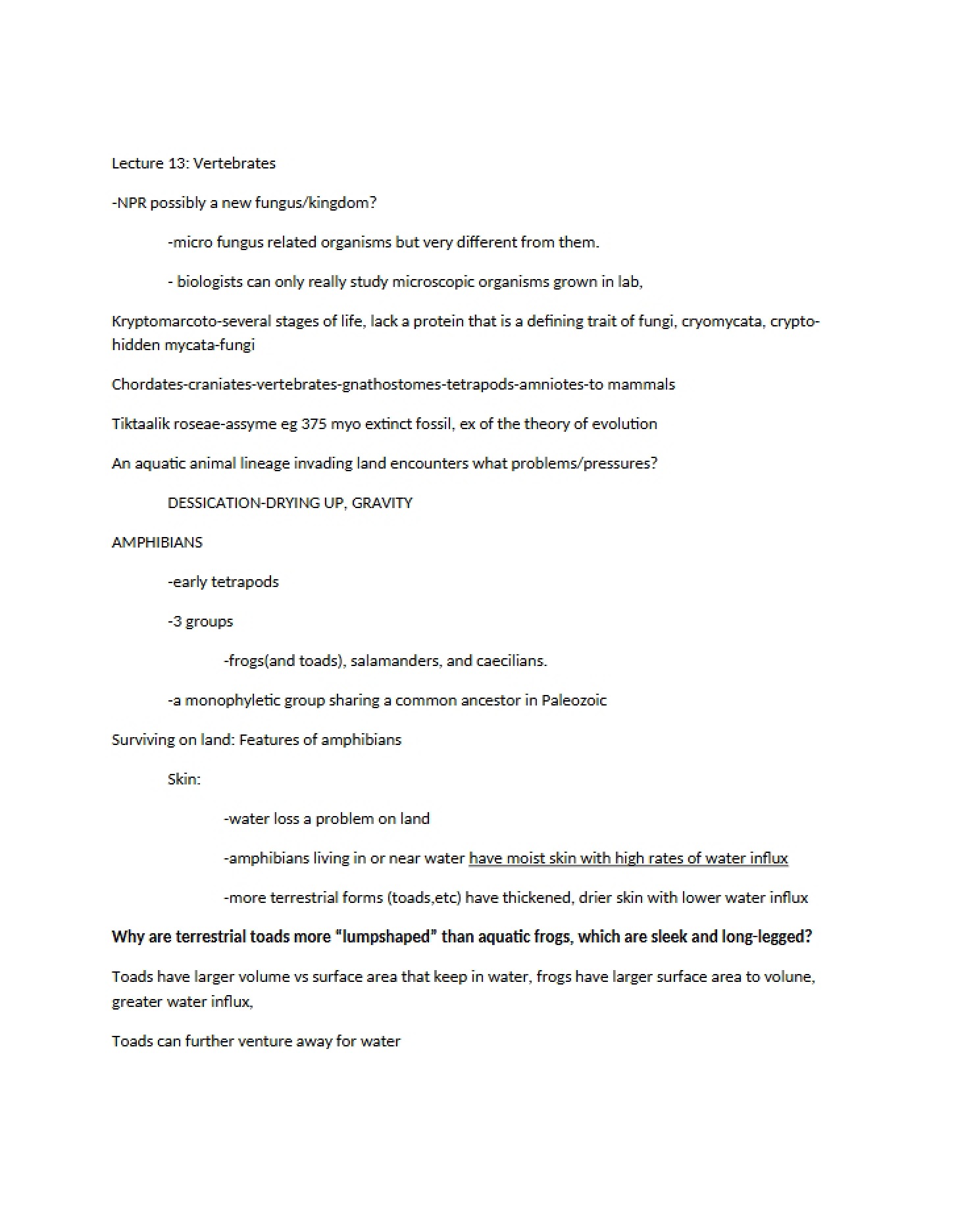 Vertebrates Lecture 13