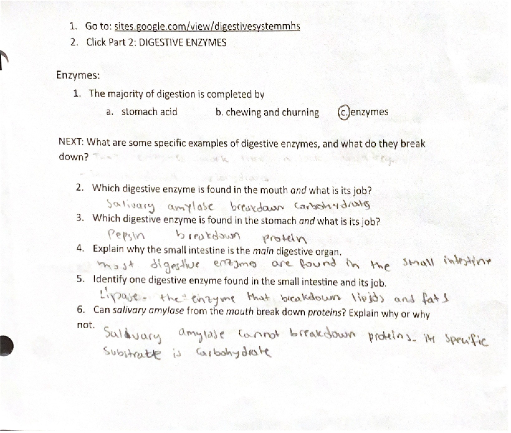 Enzyme Concepts