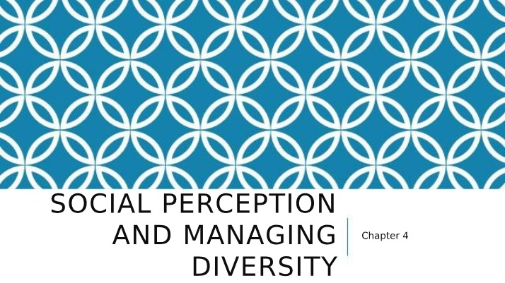 Social Perception and Managing Diversity - Chapter 4