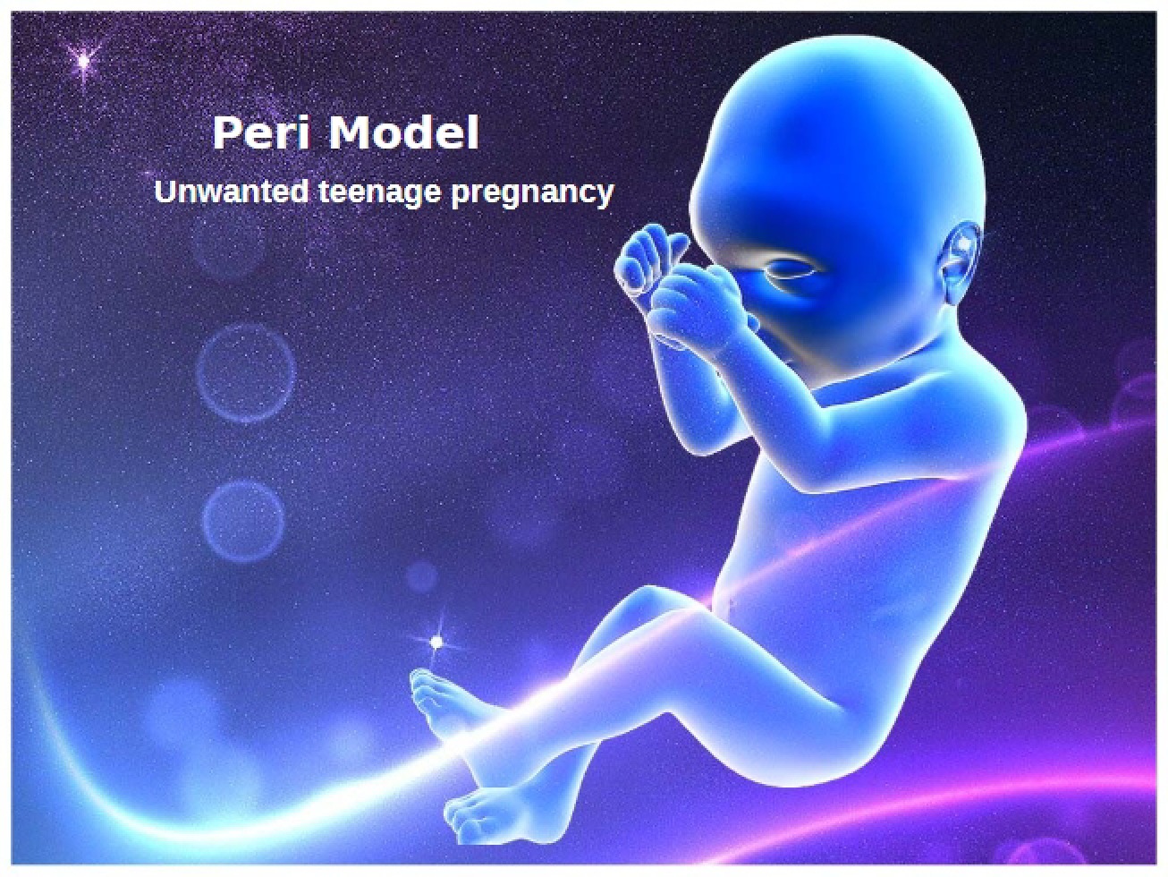 Assessment of Peri Model