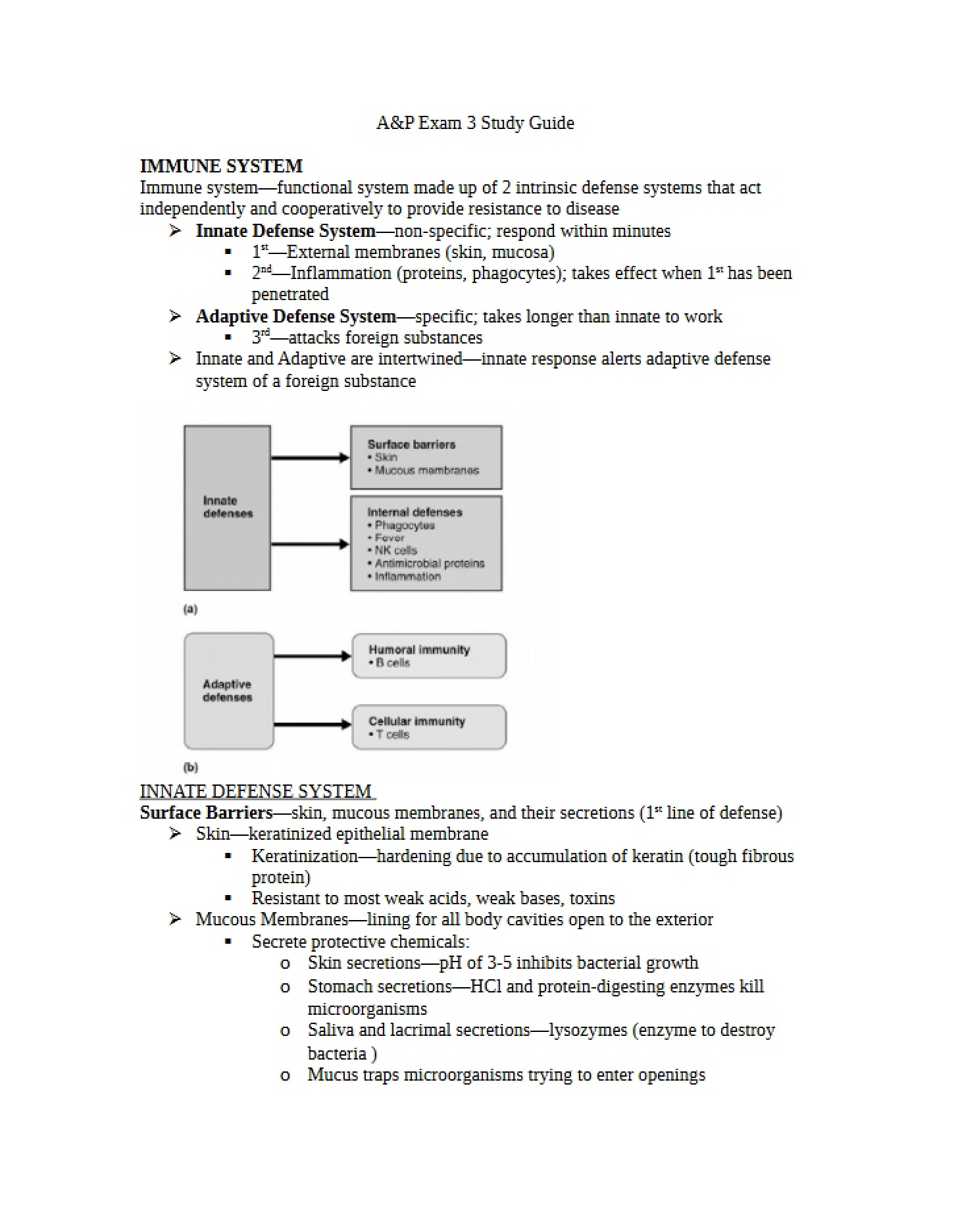 Immune System Exam 3