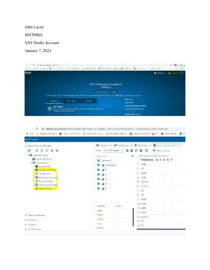MATH601 - Mastering SAS Studio for Efficient Mathematical Analysis