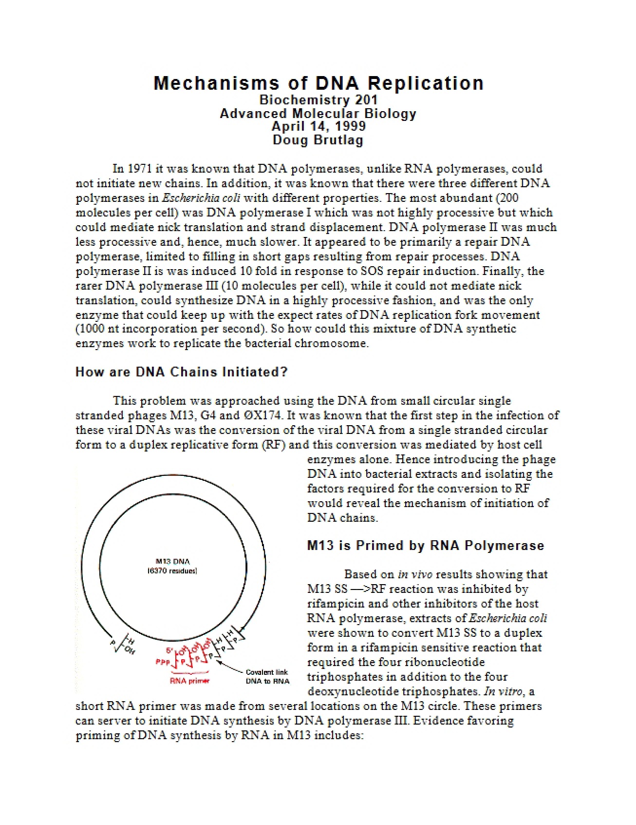 Mechanisms of the Replication of DNA