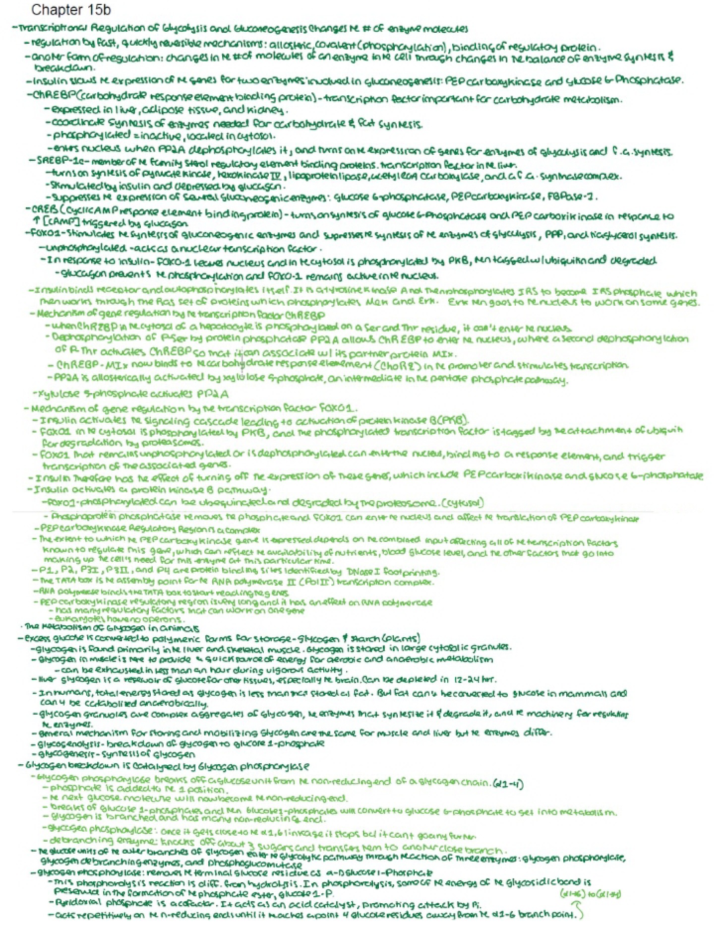 Session Notes