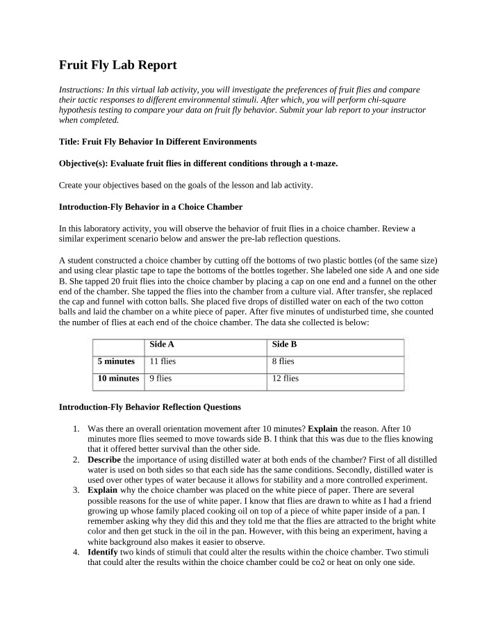 Virtual Lab Report - Fruit Fly Behavior in Different Environments