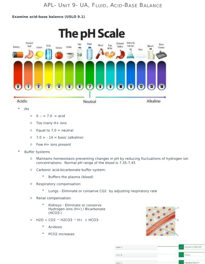 Acid-Base Balance and Fluid Composition
