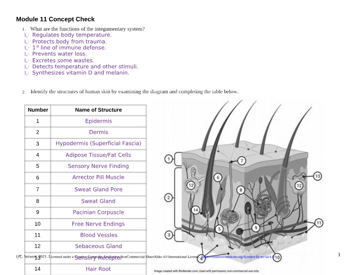 Concept Check - Module 11