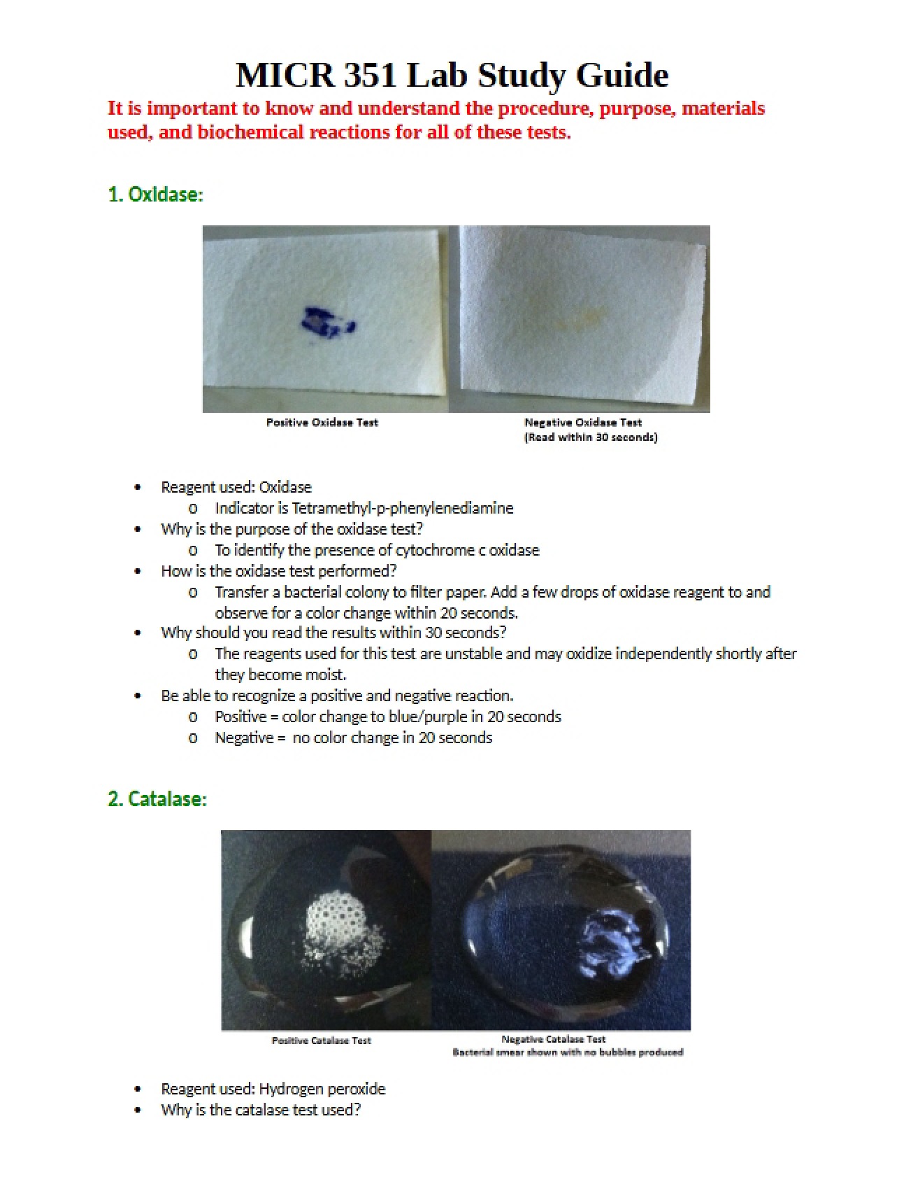 Study Guide for the Second Microbiology Exam
