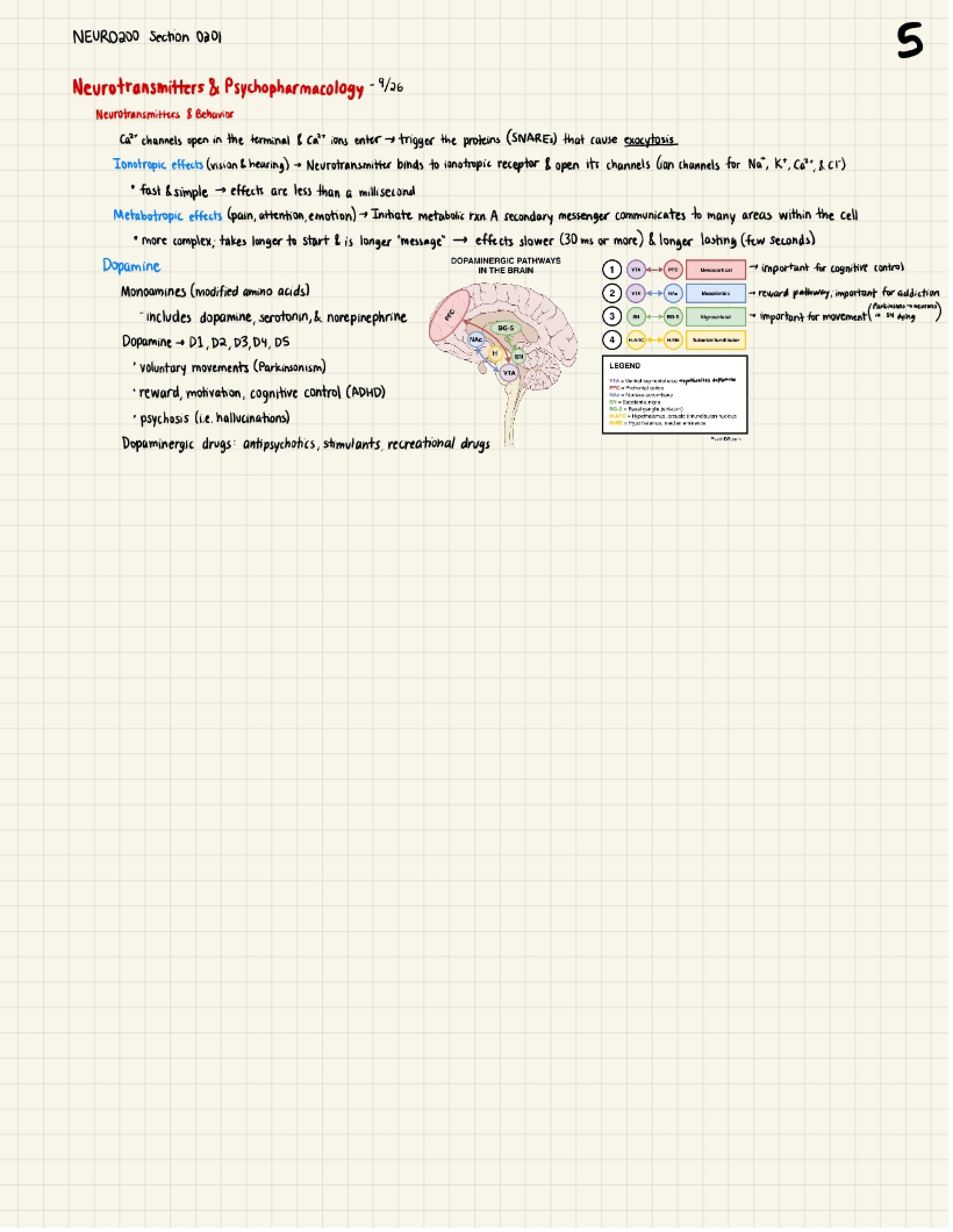 Psychopharmacology and Neurotransmitters