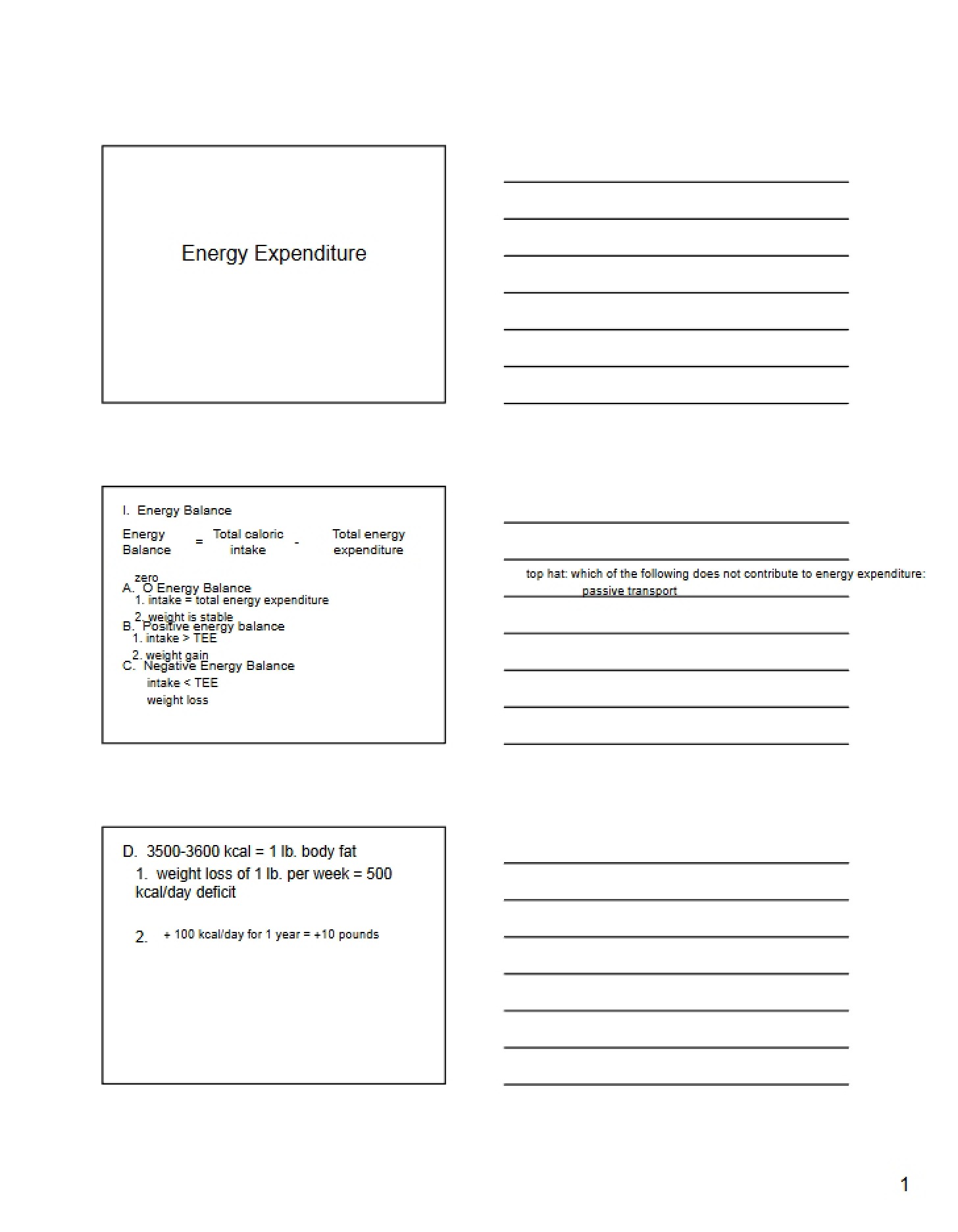 Human Energy Consumption Overview
