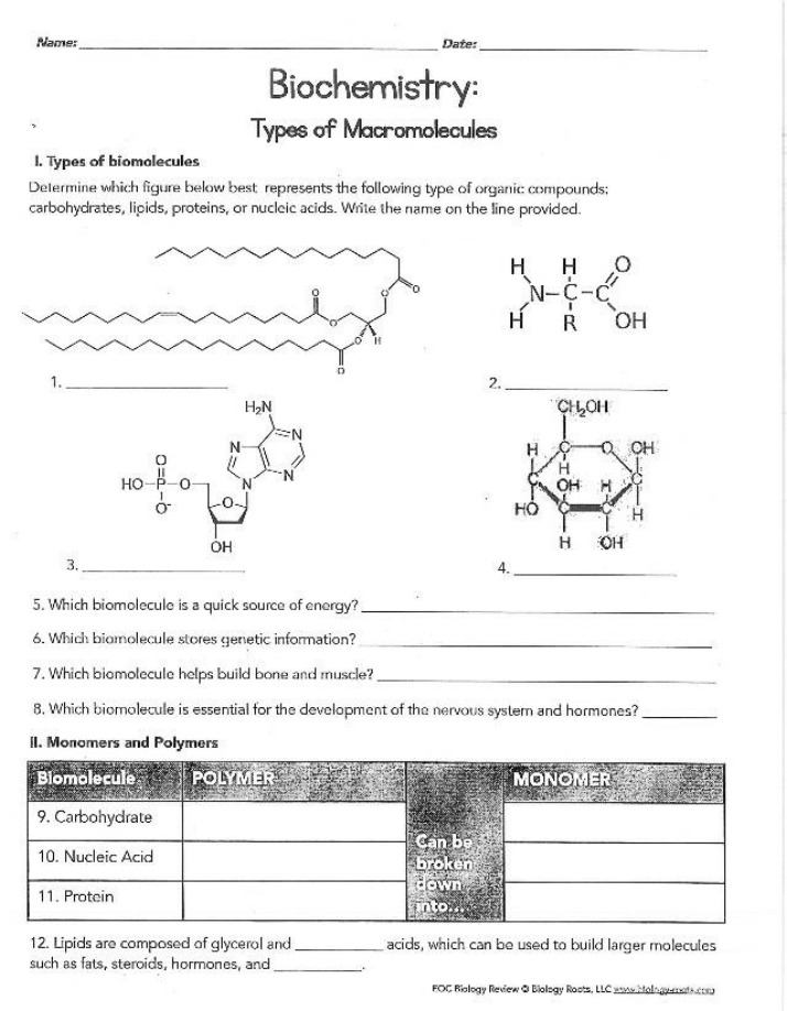Biology EOC Review