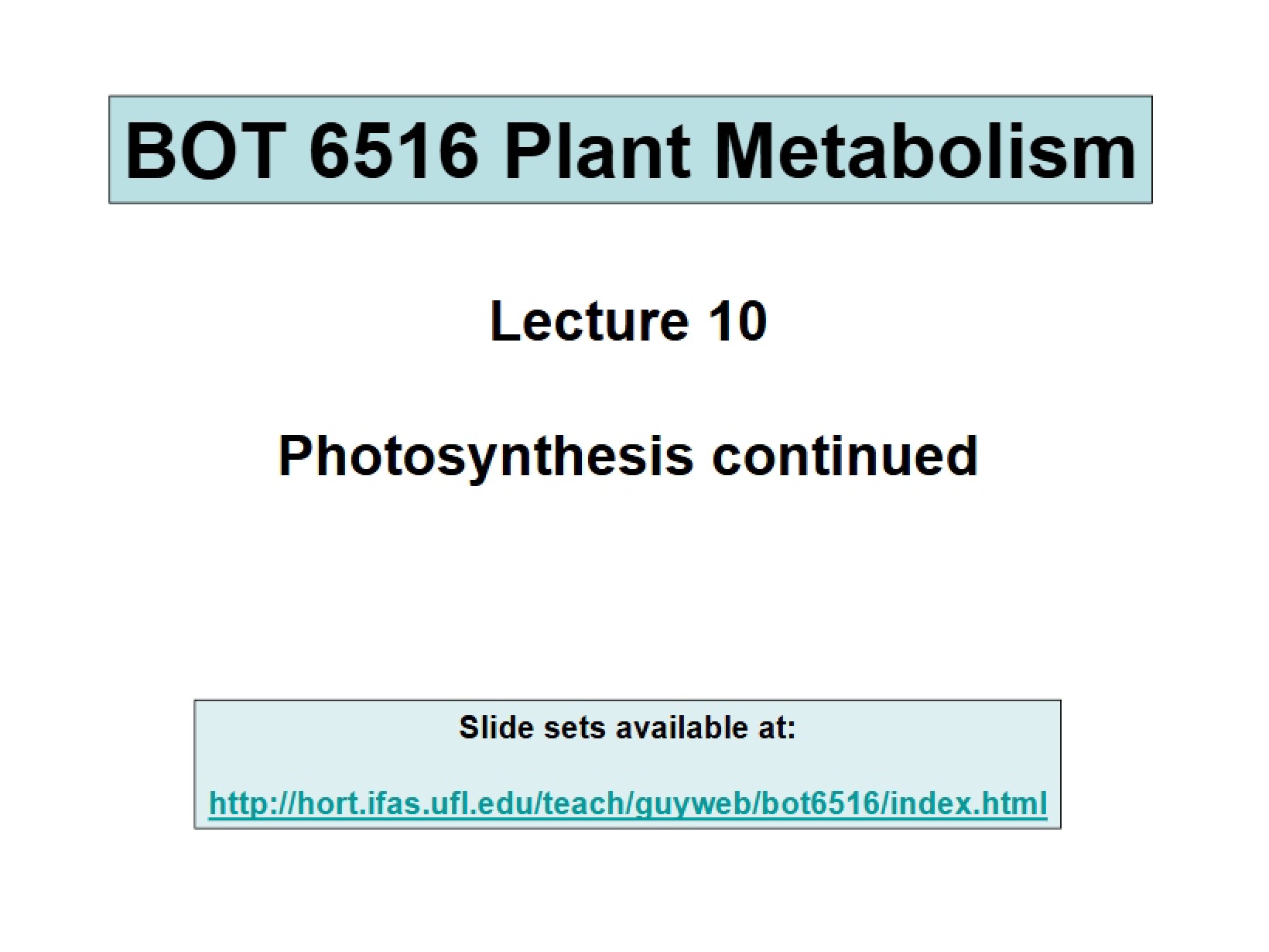 Photosynthesis Part 2