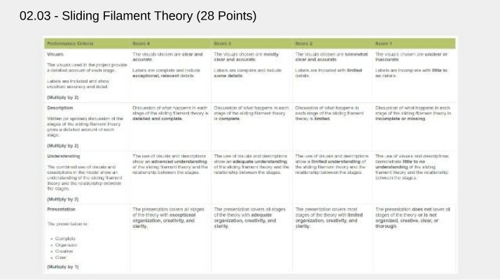 Assignment for Sliding Filament Theory