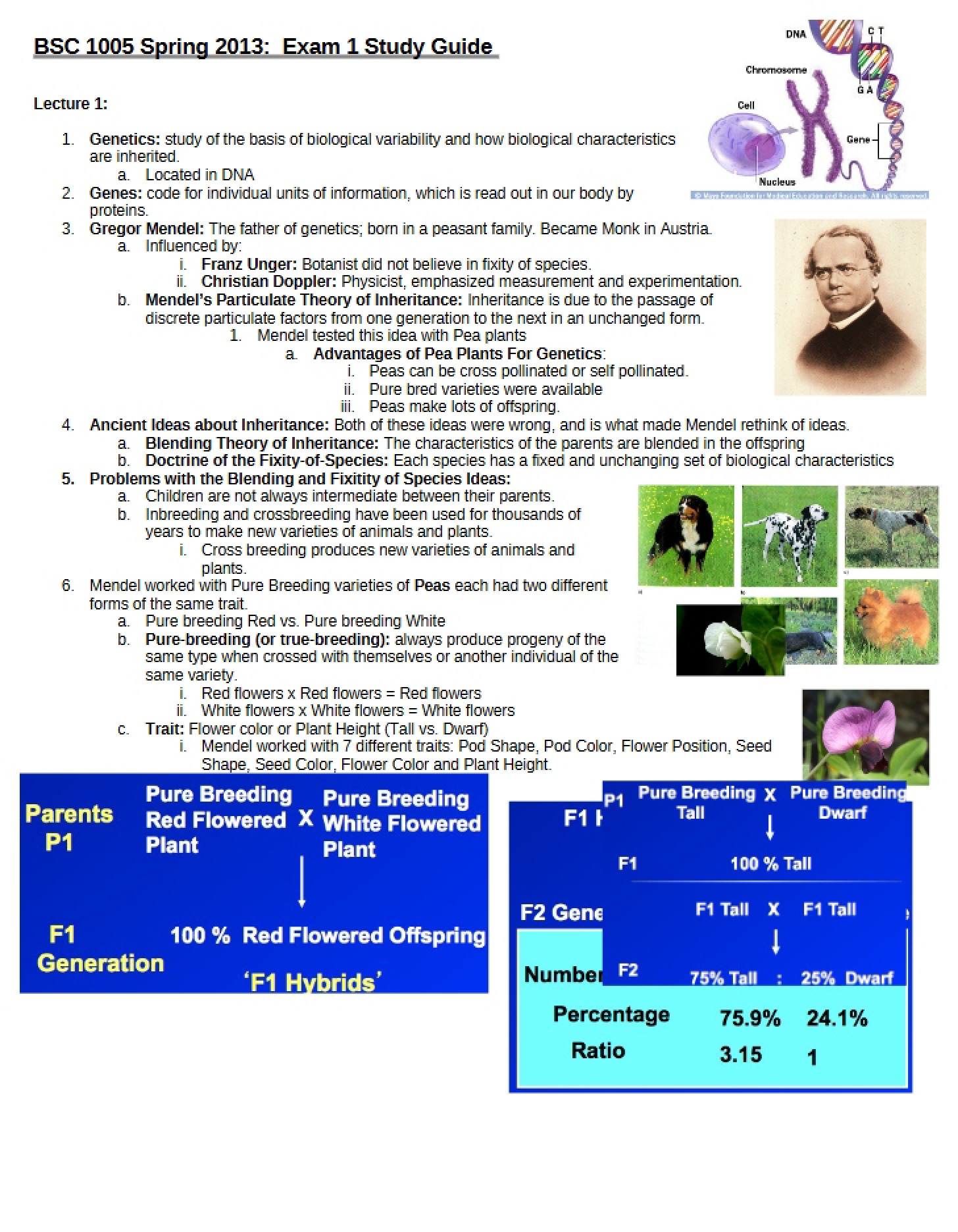 Genetic Foundations (Exam 1)