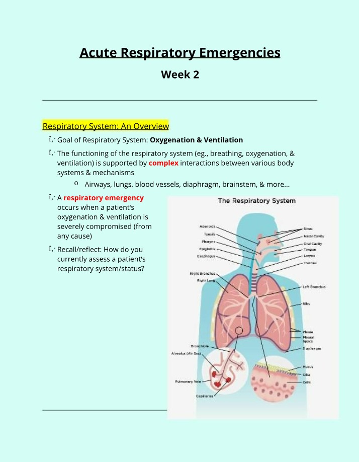 Week 2 Notes - Acute Respiratory Emergencies