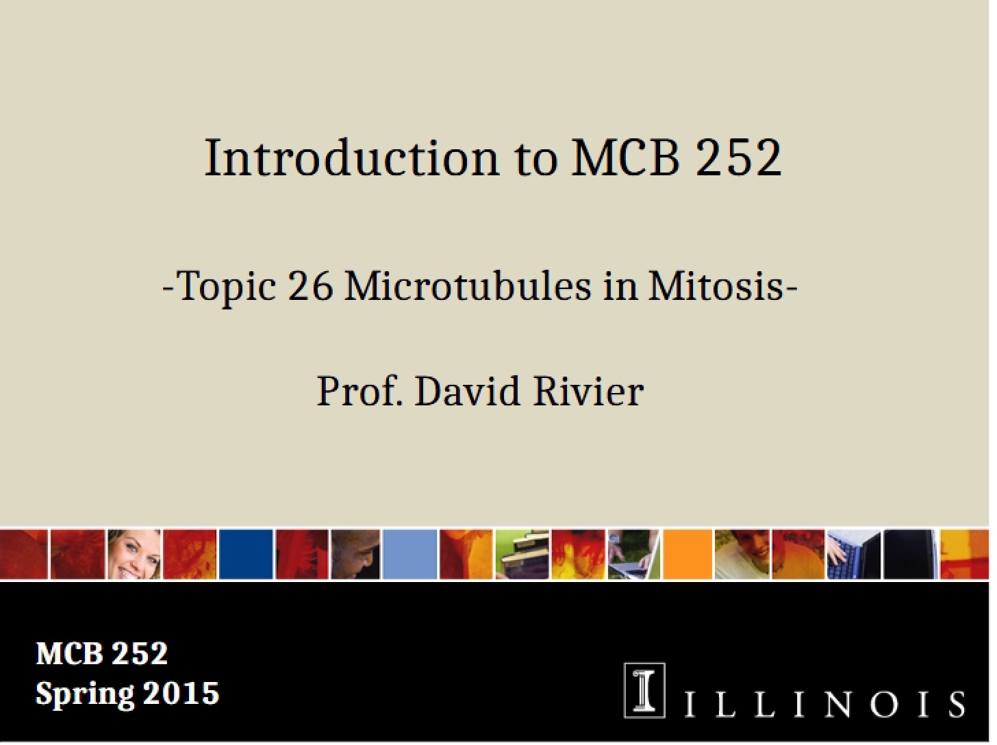 Mitosis and Microtubules