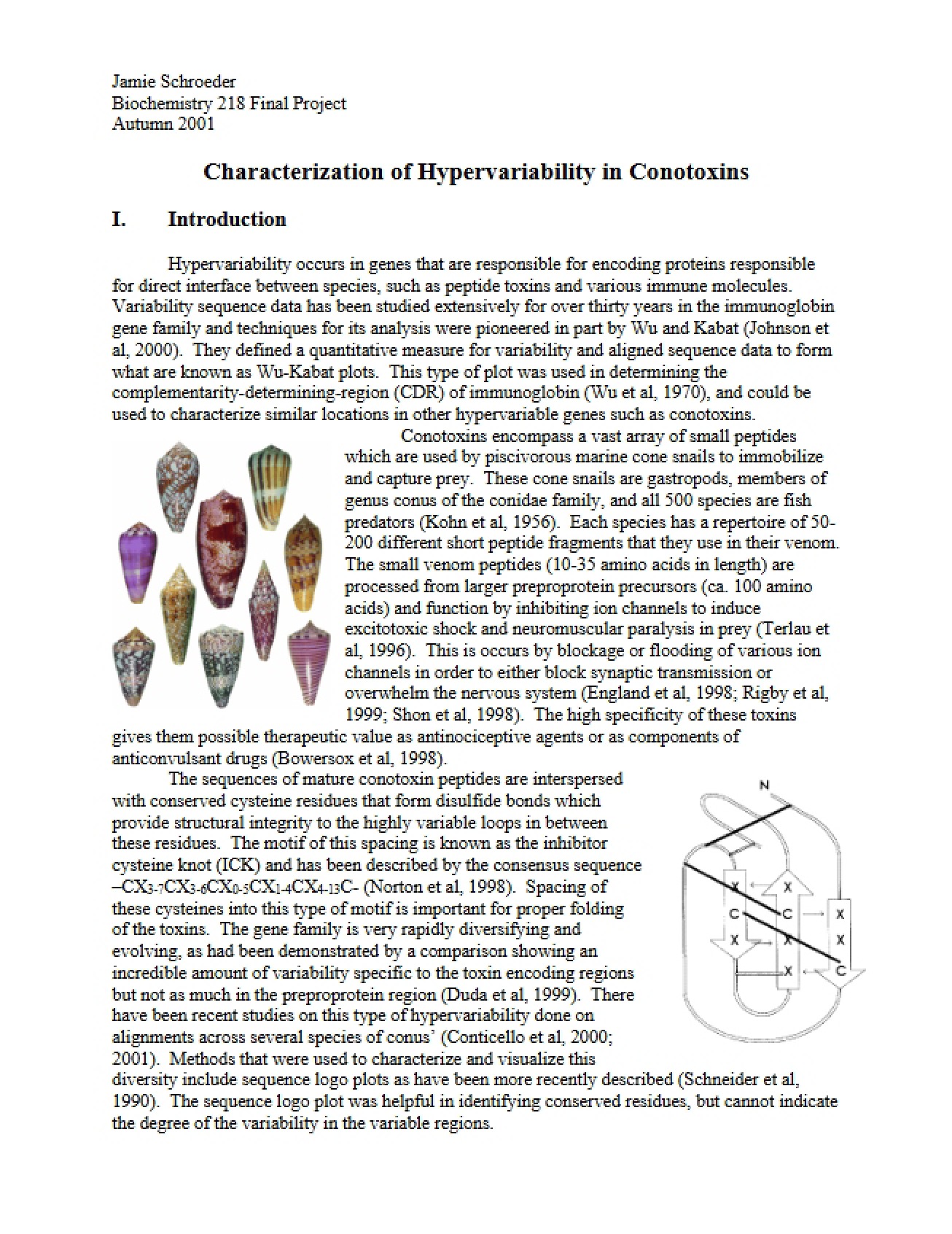 Characterization of the Hypervariability in Conotoxins