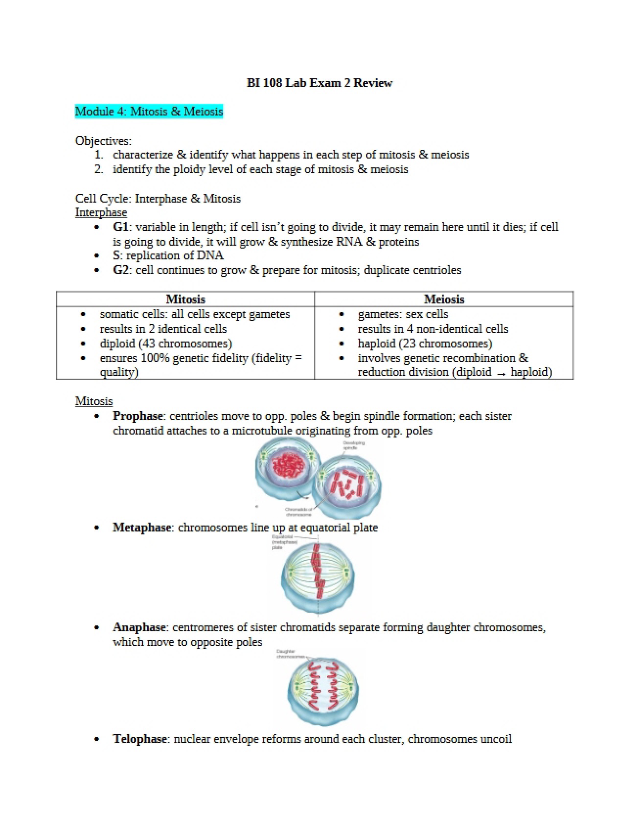 Fourth Module Mitosis and Meiosis