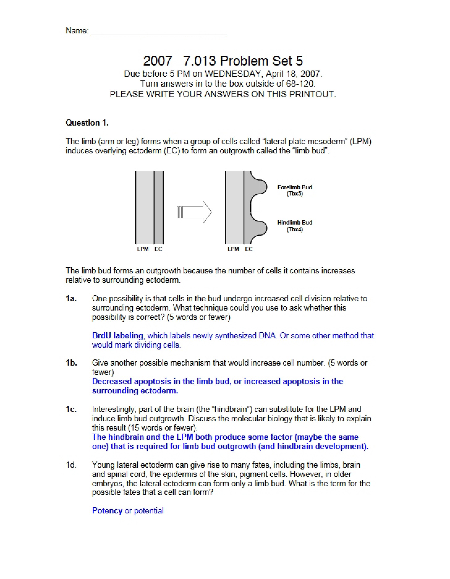 Assignment Set 5
