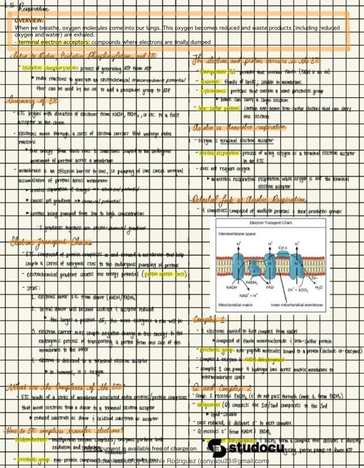 Respiration Notes - Intro to Redox and Oxidative Processes