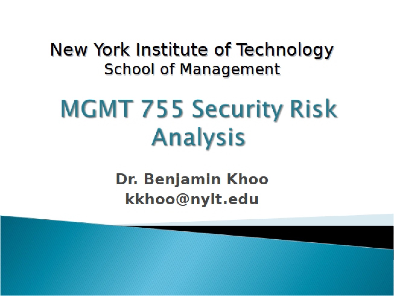 Analysis of Security Risks