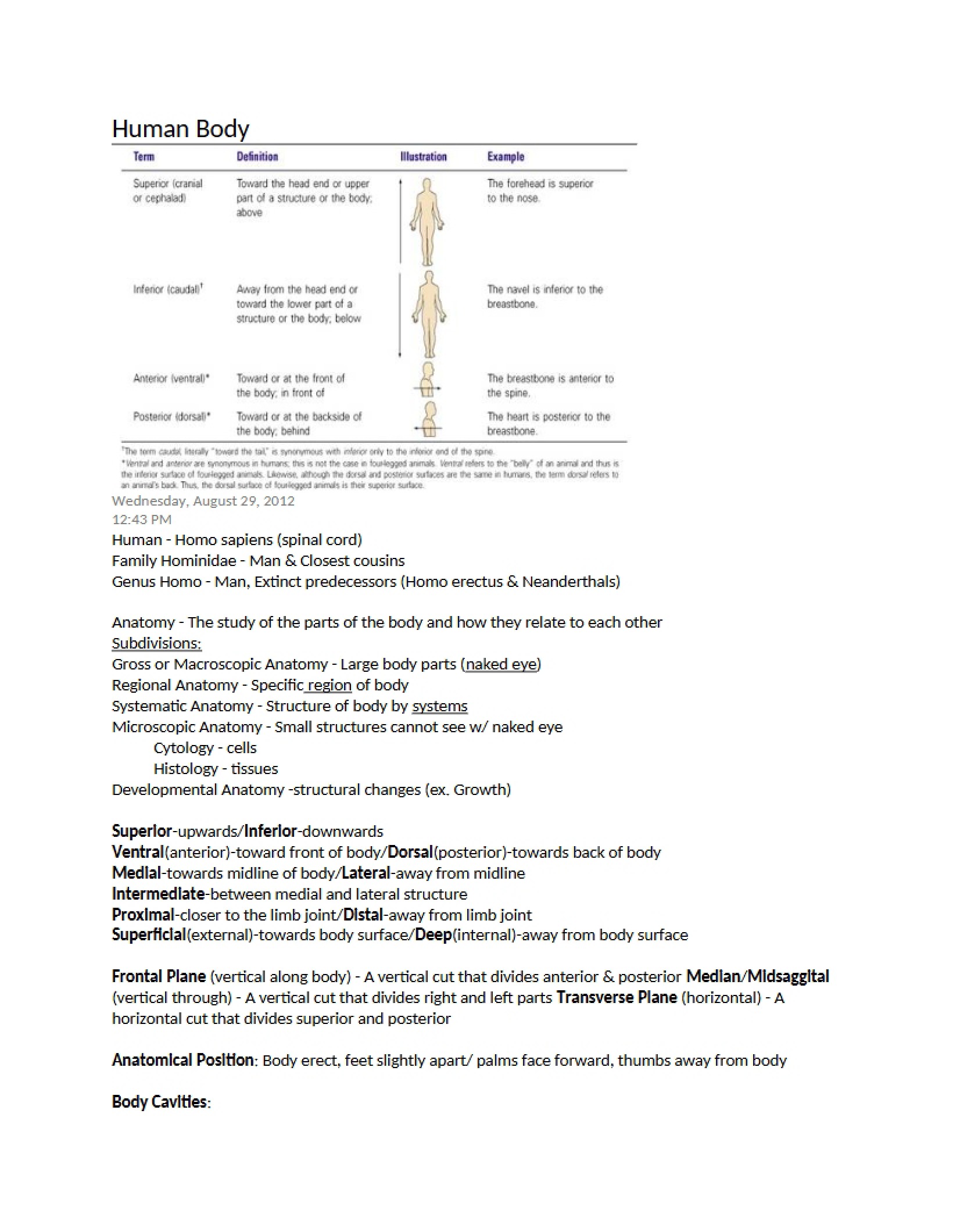 Overview of the Human Body